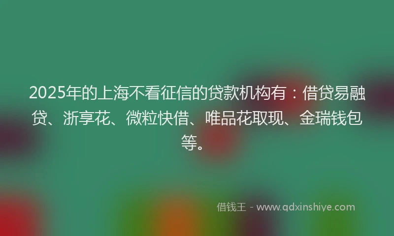 2025年的上海不看征信的贷款机构有：借贷易融贷、浙享花、微粒快借、唯品花取现、金瑞钱包等。