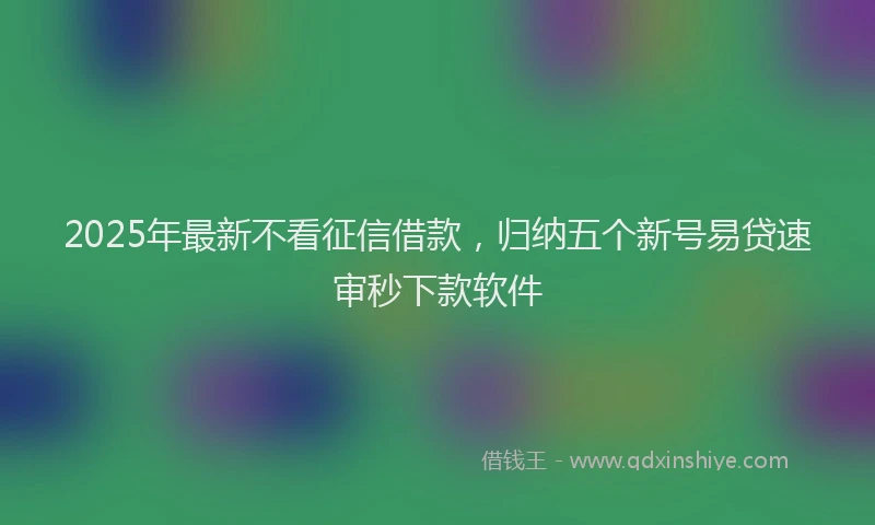 2025年最新不看征信借款，归纳五个新号易贷速审秒下款软件