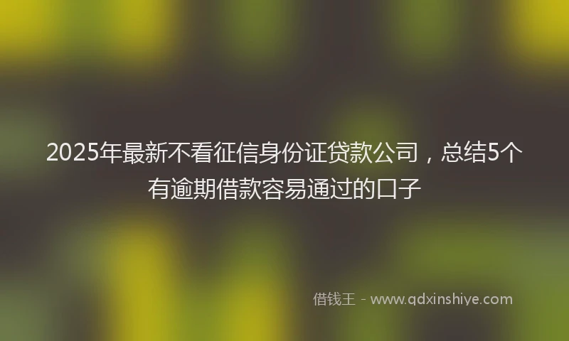 2025年最新不看征信身份证贷款公司，总结5个有逾期借款容易通过的口子