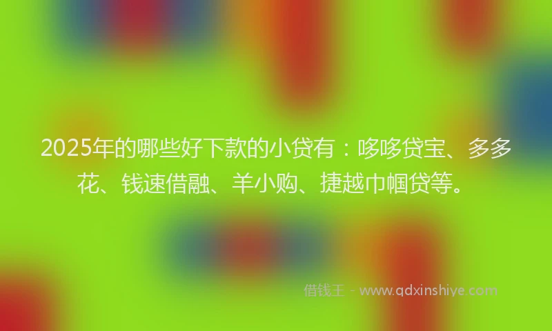 2025年的哪些好下款的小贷有：哆哆贷宝、多多花、钱速借融、羊小购、捷越巾帼贷等。