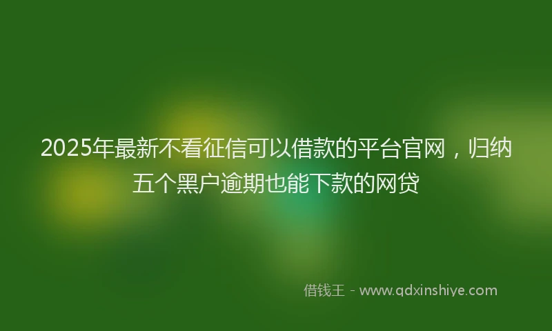 2025年最新不看征信可以借款的平台官网，归纳五个黑户逾期也能下款的网贷