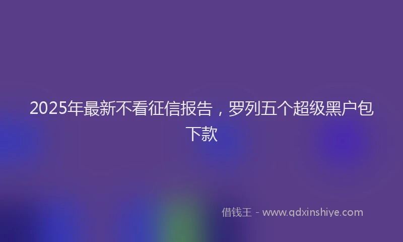 2025年最新不看征信报告，罗列五个超级黑户包下款