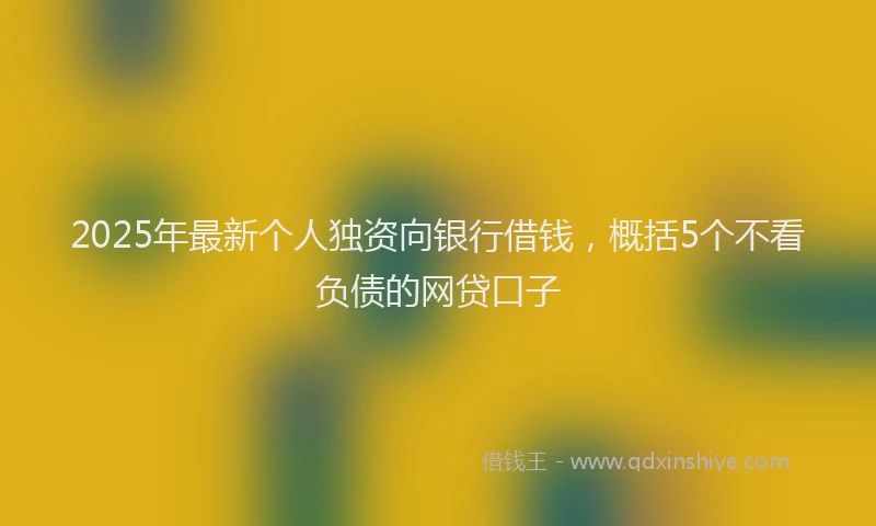 2025年最新个人独资向银行借钱，概括5个不看负债的网贷口子