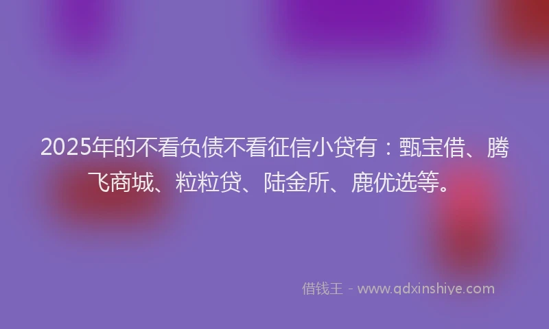 2025年的不看负债不看征信小贷有：甄宝借、腾飞商城、粒粒贷、陆金所、鹿优选等。
