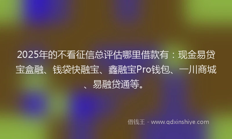 2025年的不看征信总评估哪里借款有：现金易贷宝盒融、钱袋快融宝、鑫融宝Pro钱包、一川商城、易融贷通等。