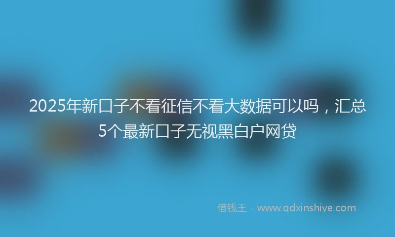 2025年新口子不看征信不看大数据可以吗，汇总5个最新口子无视黑白户网贷