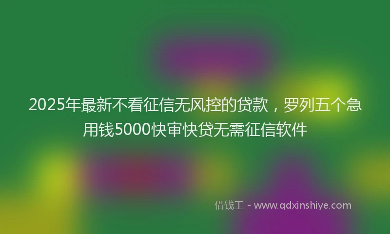 2025年最新不看征信无风控的贷款，罗列五个急用钱5000快审快贷无需征信软件