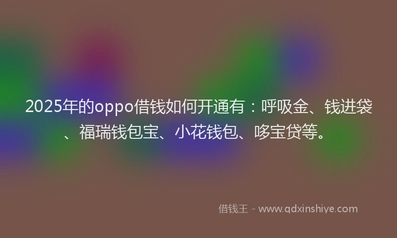 2025年的oppo借钱如何开通有：呼吸金、钱进袋、福瑞钱包宝、小花钱包、哆宝贷等。