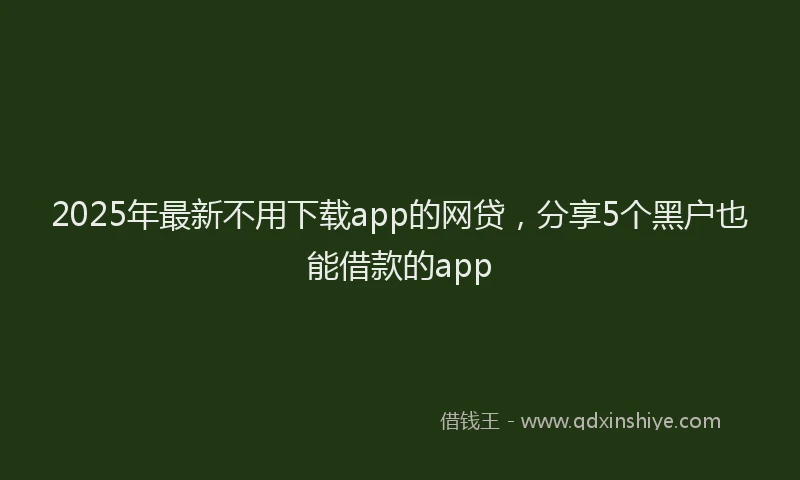 2025年最新不用下载app的网贷，分享5个黑户也能借款的app