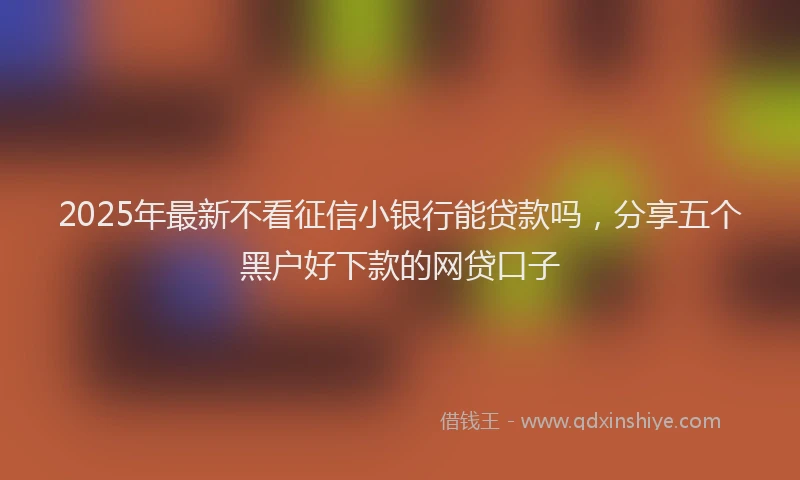 2025年最新不看征信小银行能贷款吗，分享五个黑户好下款的网贷口子