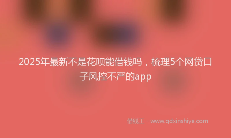 2025年最新不是花呗能借钱吗，梳理5个网贷口子风控不严的app
