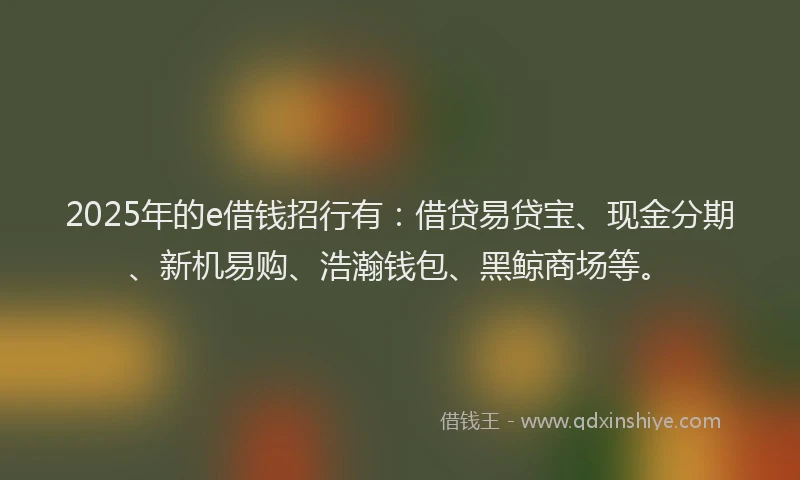 2025年的e借钱招行有：借贷易贷宝、现金分期、新机易购、浩瀚钱包、黑鲸商场等。