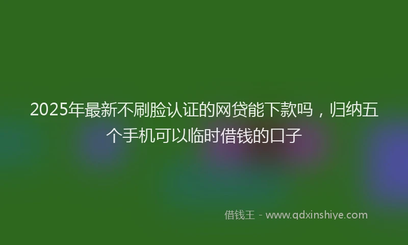 2025年最新不刷脸认证的网贷能下款吗，归纳五个手机可以临时借钱的口子