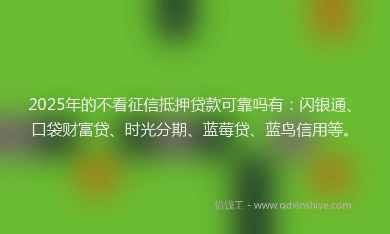2025年的不看征信抵押贷款可靠吗有：闪银通、口袋财富贷、时光分期、蓝莓贷、蓝鸟信用等。