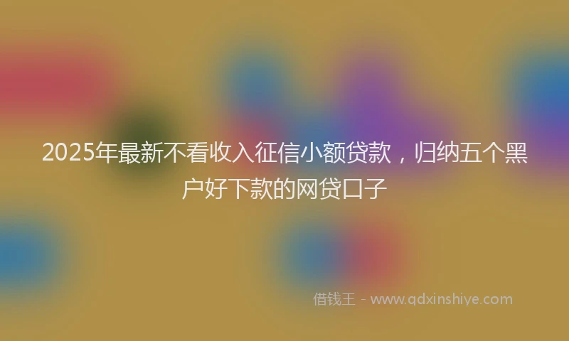 2025年最新不看收入征信小额贷款，归纳五个黑户好下款的网贷口子