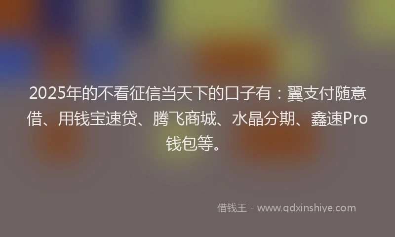 2025年的不看征信当天下的口子有：翼支付随意借、用钱宝速贷、腾飞商城、水晶分期、鑫速Pro钱包等。