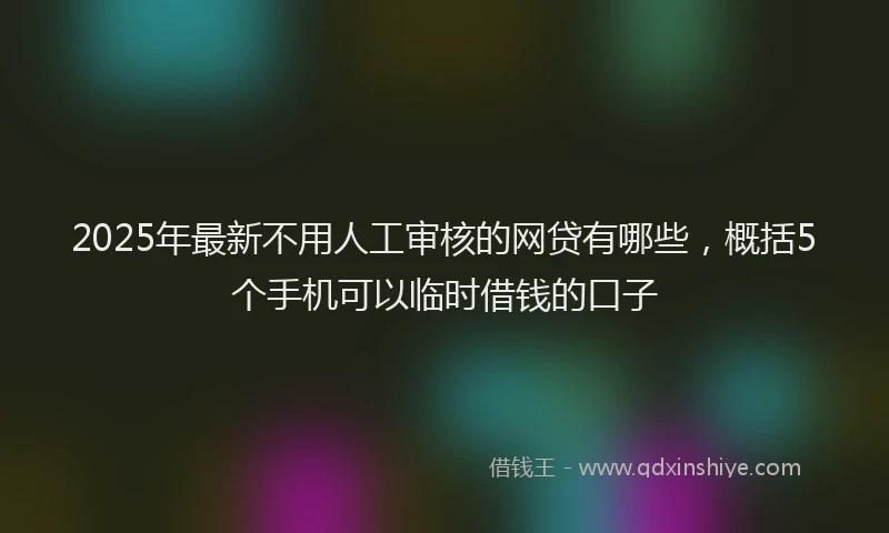 2025年最新不用人工审核的网贷有哪些，概括5个手机可以临时借钱的口子