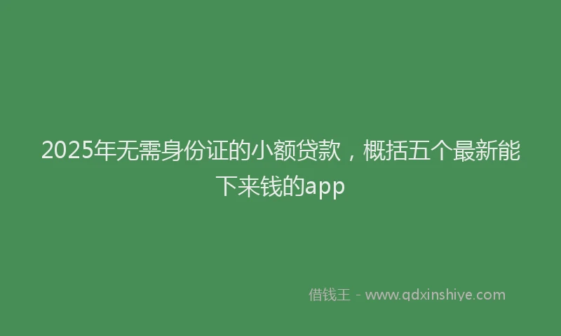 2025年无需身份证的小额贷款，概括五个最新能下来钱的app