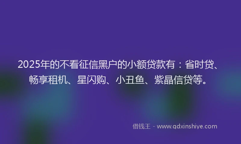 2025年的不看征信黑户的小额贷款有：省时贷、畅享租机、星闪购、小丑鱼、紫晶信贷等。