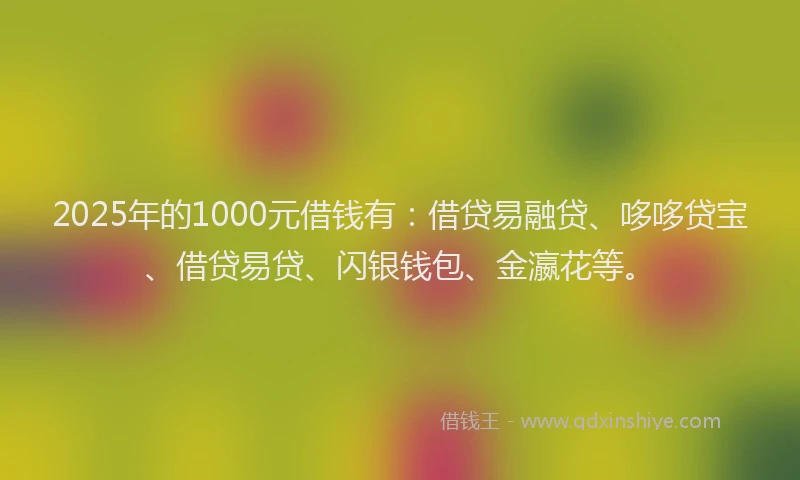 2025年的1000元借钱有：借贷易融贷、哆哆贷宝、借贷易贷、闪银钱包、金瀛花等。