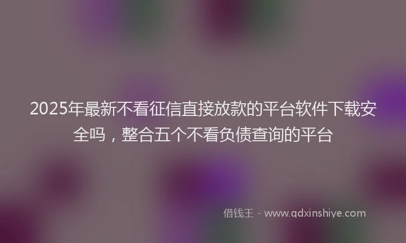 2025年最新不看征信直接放款的平台软件下载安全吗，整合五个不看负债查询的平台