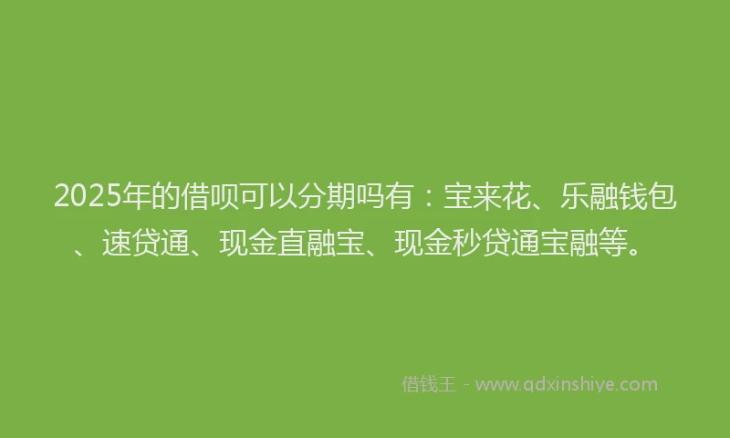 2025年的借呗可以分期吗有：宝来花、乐融钱包、速贷通、现金直融宝、现金秒贷通宝融等。