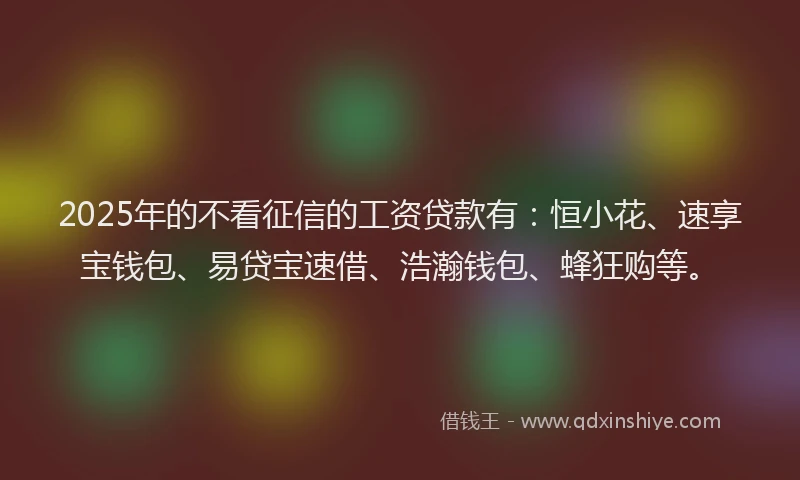 2025年的不看征信的工资贷款有：恒小花、速享宝钱包、易贷宝速借、浩瀚钱包、蜂狂购等。