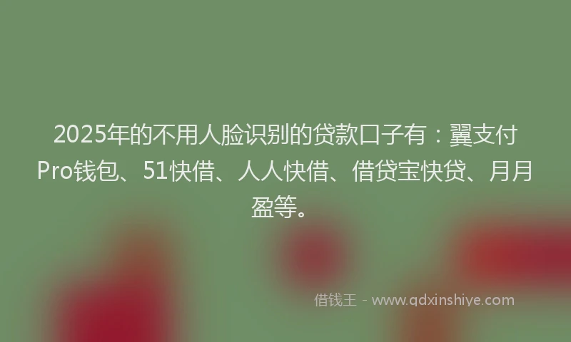 2025年的不用人脸识别的贷款口子有：翼支付Pro钱包、51快借、人人快借、借贷宝快贷、月月盈等。