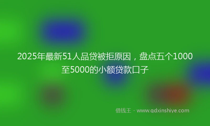 2025年最新51人品贷被拒原因，盘点五个1000至5000的小额贷款口子