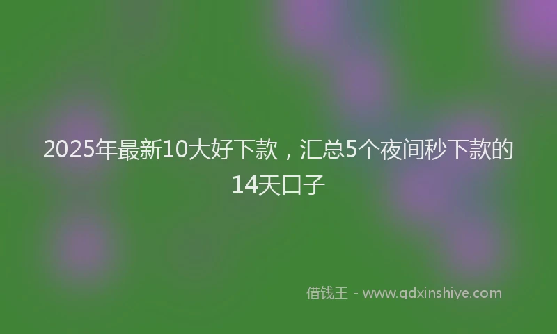 2025年最新10大好下款，汇总5个夜间秒下款的14天口子