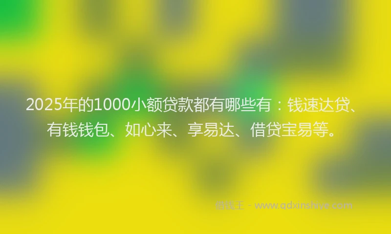 2025年的1000小额贷款都有哪些有：钱速达贷、有钱钱包、如心来、享易达、借贷宝易等。