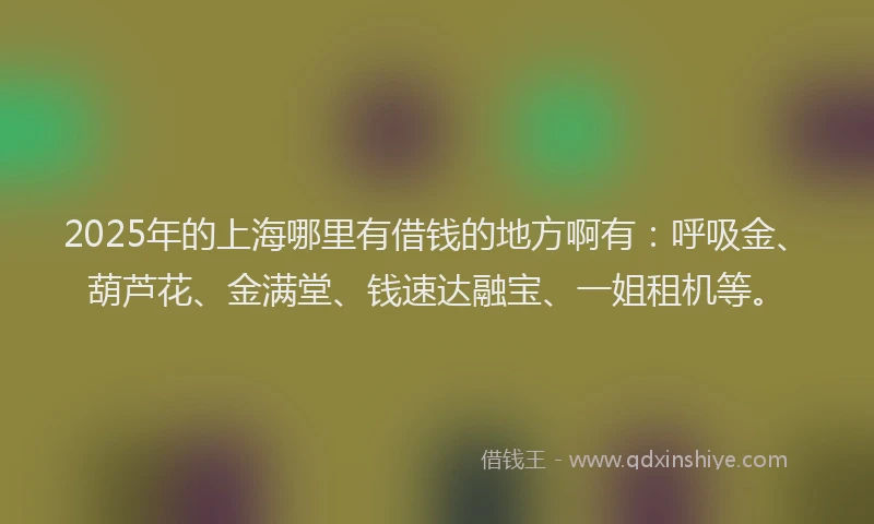2025年的上海哪里有借钱的地方啊有：呼吸金、葫芦花、金满堂、钱速达融宝、一姐租机等。