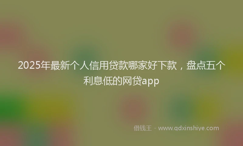 2025年最新个人信用贷款哪家好下款，盘点五个利息低的网贷app
