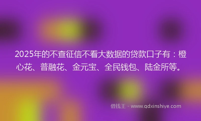 2025年的不查征信不看大数据的贷款口子有：橙心花、普融花、金元宝、全民钱包、陆金所等。