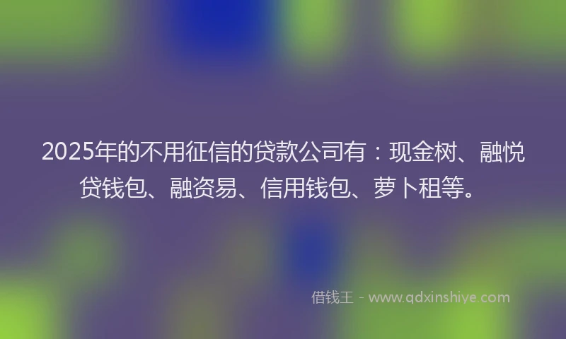 2025年的不用征信的贷款公司有：现金树、融悦贷钱包、融资易、信用钱包、萝卜租等。
