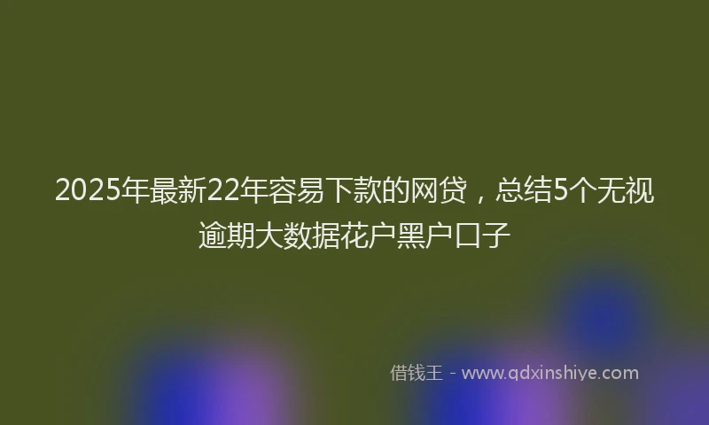 2025年最新22年容易下款的网贷，总结5个无视逾期大数据花户黑户口子