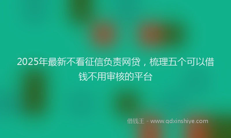 2025年最新不看征信负责网贷，梳理五个可以借钱不用审核的平台