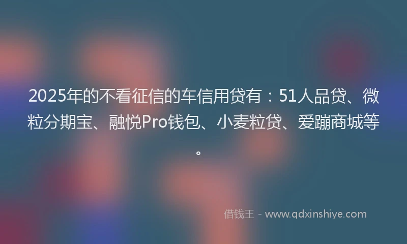 2025年的不看征信的车信用贷有：51人品贷、微粒分期宝、融悦Pro钱包、小麦粒贷、爱蹦商城等。