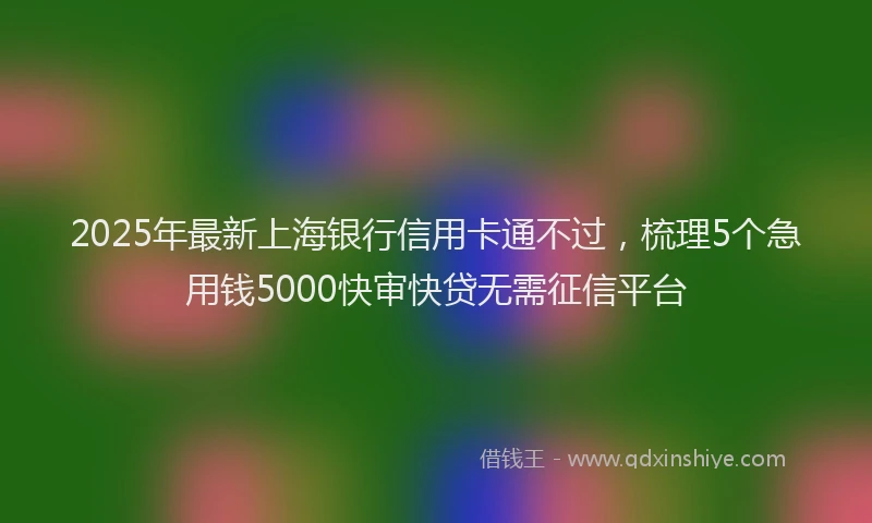 2025年最新上海银行信用卡通不过，梳理5个急用钱5000快审快贷无需征信平台