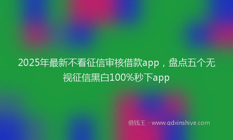 2025年最新不看征信审核借款app，盘点五个无视征信黑白100%秒下app