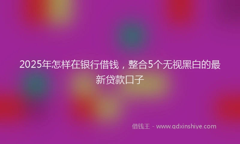 2025年怎样在银行借钱，整合5个无视黑白的最新贷款口子