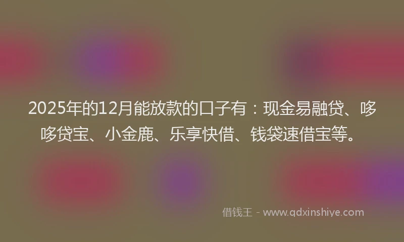 2025年的12月能放款的口子有：现金易融贷、哆哆贷宝、小金鹿、乐享快借、钱袋速借宝等。