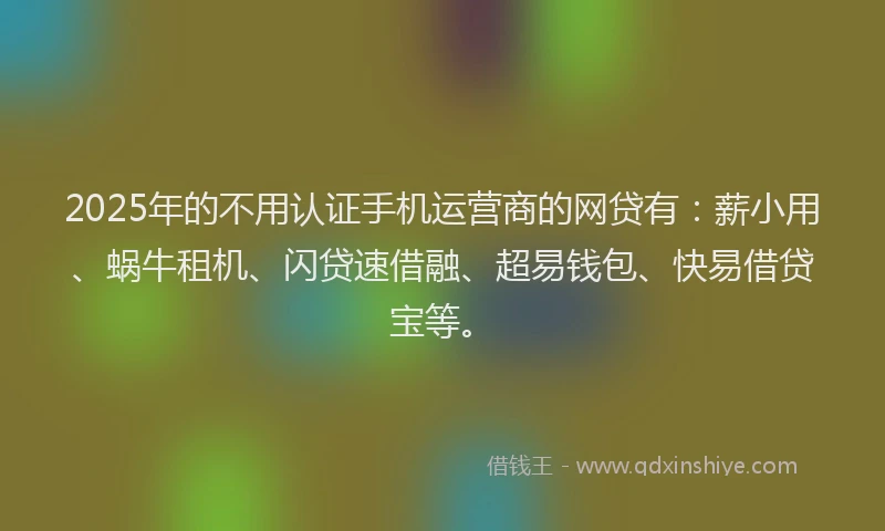 2025年的不用认证手机运营商的网贷有：薪小用、蜗牛租机、闪贷速借融、超易钱包、快易借贷宝等。