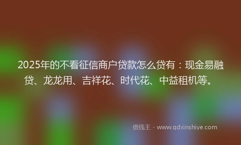 2025年的不看征信商户贷款怎么贷有：现金易融贷、龙龙用、吉祥花、时代花、中益租机等。