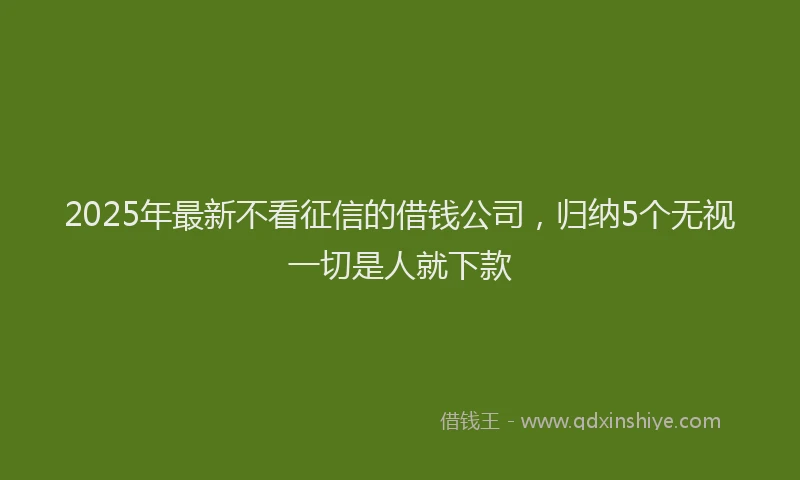 2025年最新不看征信的借钱公司，归纳5个无视一切是人就下款