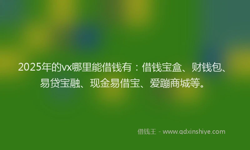 2025年的vx哪里能借钱有：借钱宝盒、财钱包、易贷宝融、现金易借宝、爱蹦商城等。