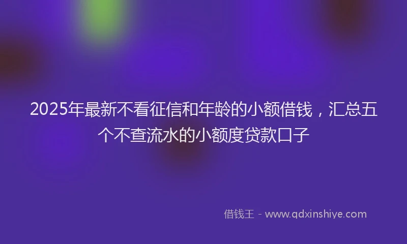 2025年最新不看征信和年龄的小额借钱，汇总五个不查流水的小额度贷款口子