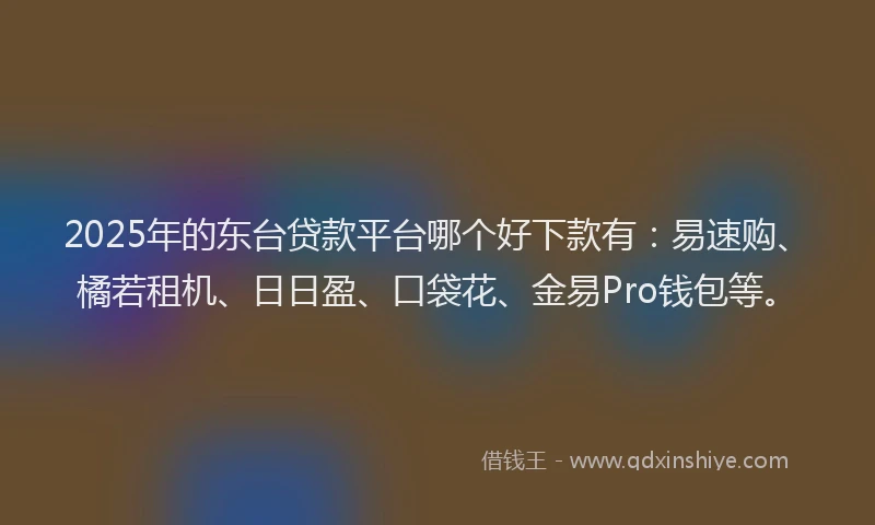 2025年的东台贷款平台哪个好下款有：易速购、橘若租机、日日盈、口袋花、金易Pro钱包等。