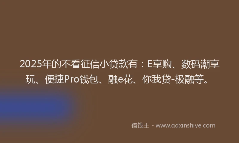 2025年的不看征信小贷款有：E享购、数码潮享玩、便捷Pro钱包、融e花、你我贷-极融等。