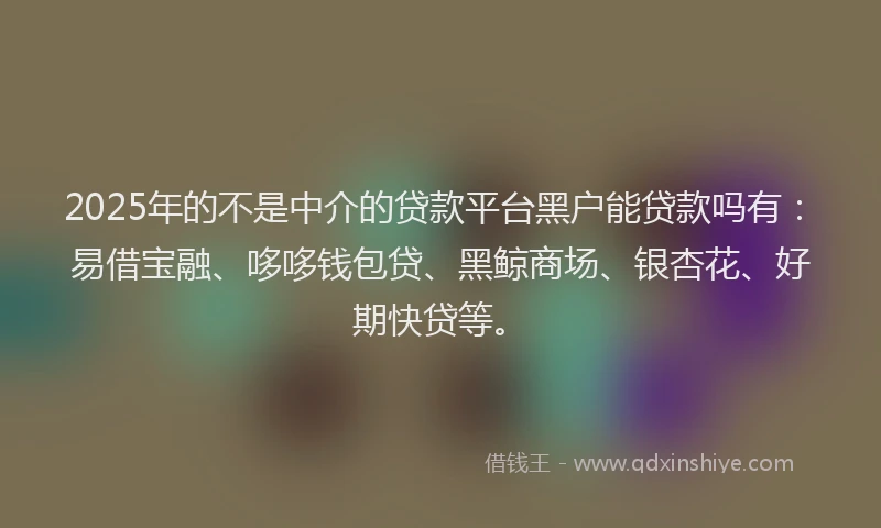 2025年的不是中介的贷款平台黑户能贷款吗有：易借宝融、哆哆钱包贷、黑鲸商场、银杏花、好期快贷等。